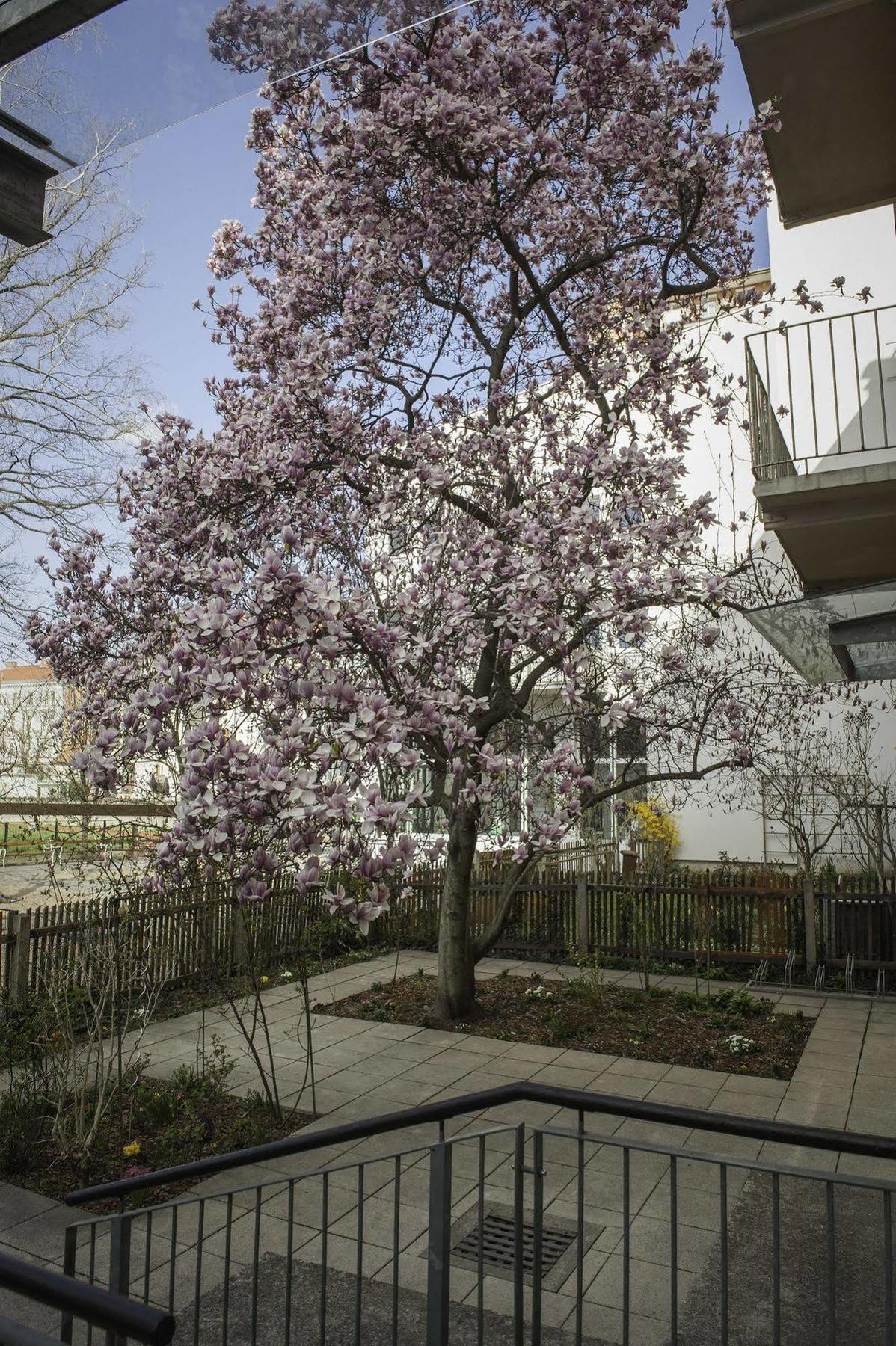 Haus Mobene - Hotel Garni Грац Екстериор снимка